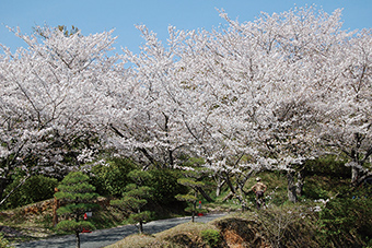 蛇ヶ谷公園