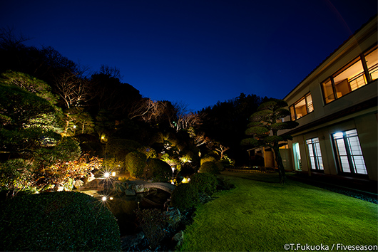 100年の歴史を誇る1350坪の日本庭園。 桜やつつじ、藤の花といった彩り豊かな美しい花々が咲き誇る庭園です。 夜にはライトアップされ、光の中に浮かび上がる緑が癒しの時間をつくりあげます。